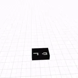 Item #13 Media