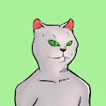 Crazy-Cats