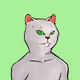 Crazy-Cats
