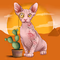 Bald Bold and Okay Cats