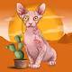 Bald Bold and Okay Cats