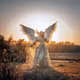 Blessence's Mcollection
