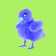 Furri Ducks (NFT Staking Game)