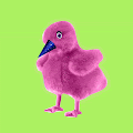 Furri Ducks (NFT Staking Game)