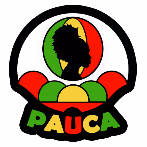 PAUCA Brand Impact Puzzle