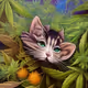 ANIMALS 33 RR