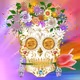 Solana SOL Crypto Sugar Skull