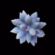 Electric bees and artificial flowers