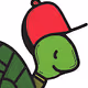 Turtles Wearing Hats