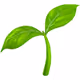 Sprout Garden