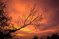 MaxCompose Photography