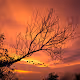 MaxCompose Photography