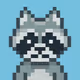 Project Dignity Raccoons