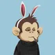 Baby Monkey