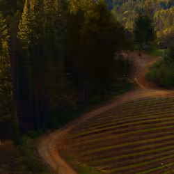 アイテム メディア プレースホルダー