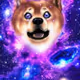 GALAX DOGE