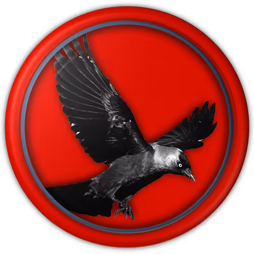 Coldz Token Airdrop NFTs