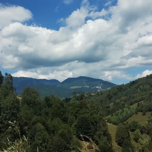 Trip to Romania (Not AI generated)