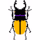Colorful Beetles Bugs