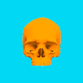 Skull Space Color