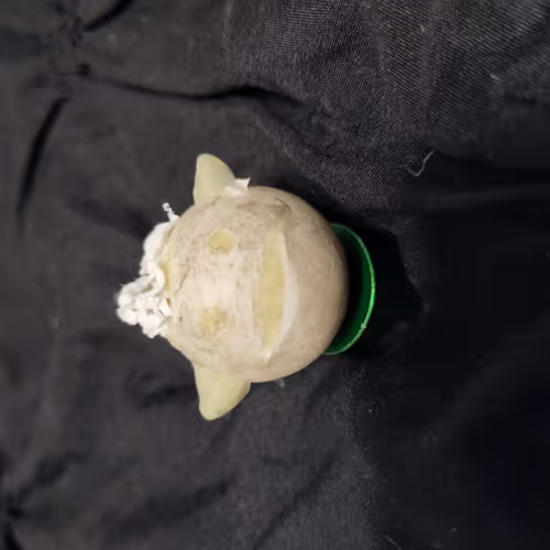 second life for balls