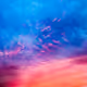 Landscape-memory