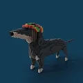 Crypto Dachshunds