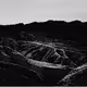 Desert Dayz