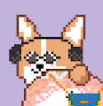 Corgi Revolution