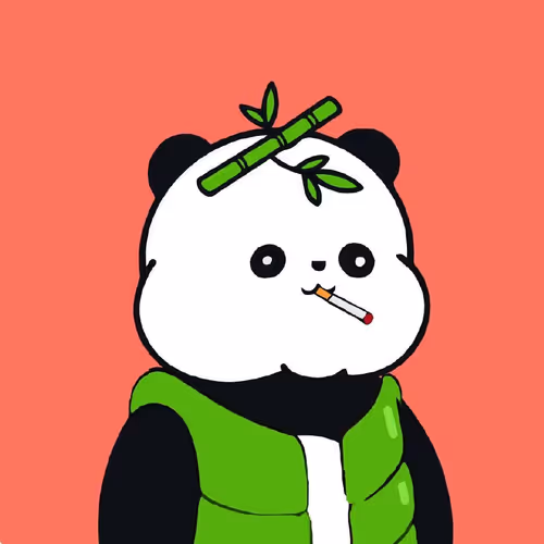 panda - k1vBo4DbWt