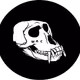 Weapon Ape Club NFTs