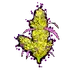 Your Happy High
