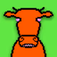 Swiss Golden Calf