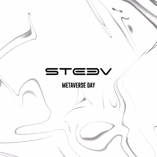METAVERSE DAY by Steev