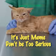 MEME CAT PATIENT