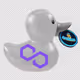 ProtoRace Duck MATIC