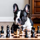 Gaming Frenchies