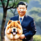 Xi Jinping - Me by myself