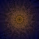LineFocusNFT