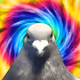 NFTTeste