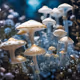 Enchanted Mushroom