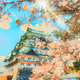 Nihon Essence: Scenic Japan(Polygon Edition)