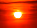 Mr. Sun