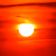 Mr. Sun
