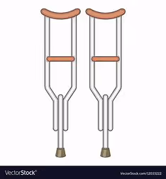 Real Housewives Of Pigs