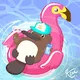 Summer Platypus