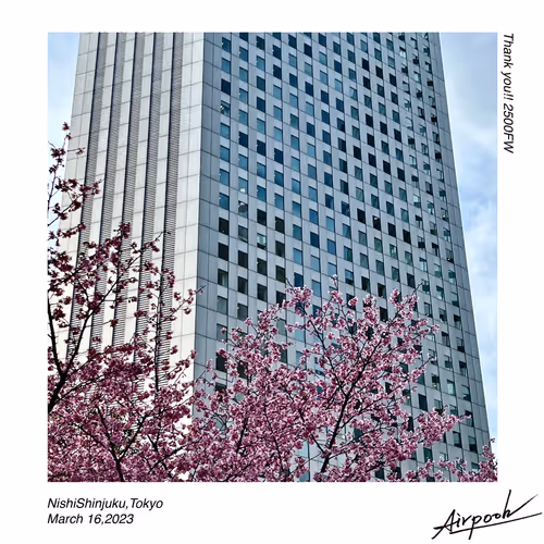 The Special Gift by Airpooh