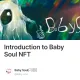 Introduction to Baby Soul NFT