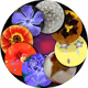 Naturettes