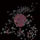 Flower Girls Seeds of Love
